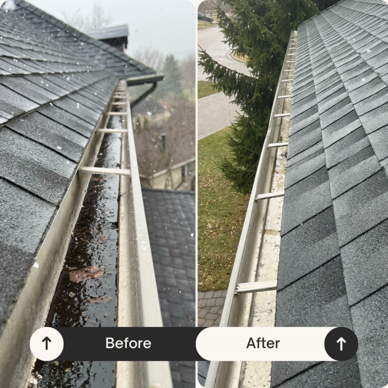 Summer Shine: The Perfect Time for Gutter & Window Cleaning!